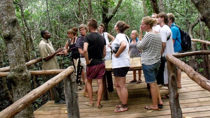 Exploring-Jozani-and-Mangroves-Forest