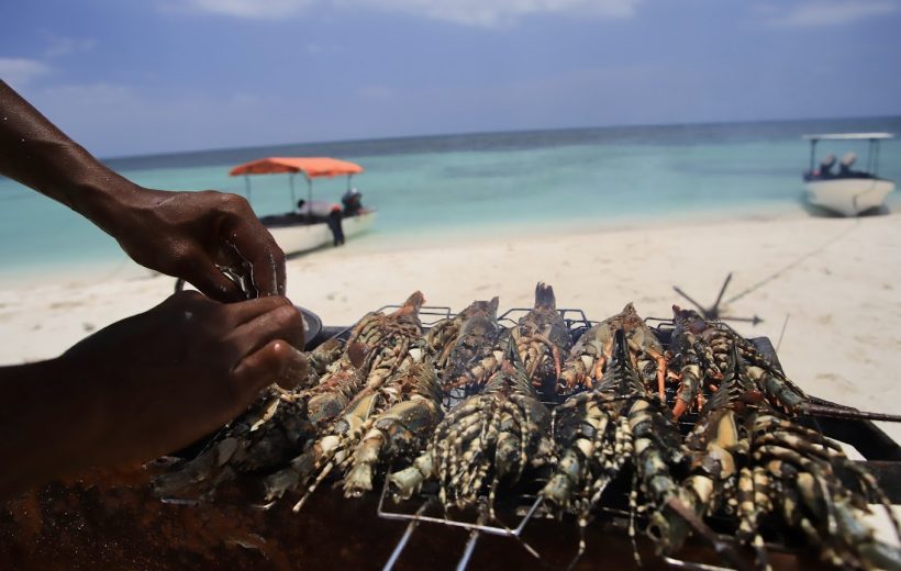 Sea adventure on Pungume Island with lunch buffet