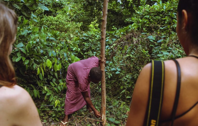 Spice Farms of Zanzibar