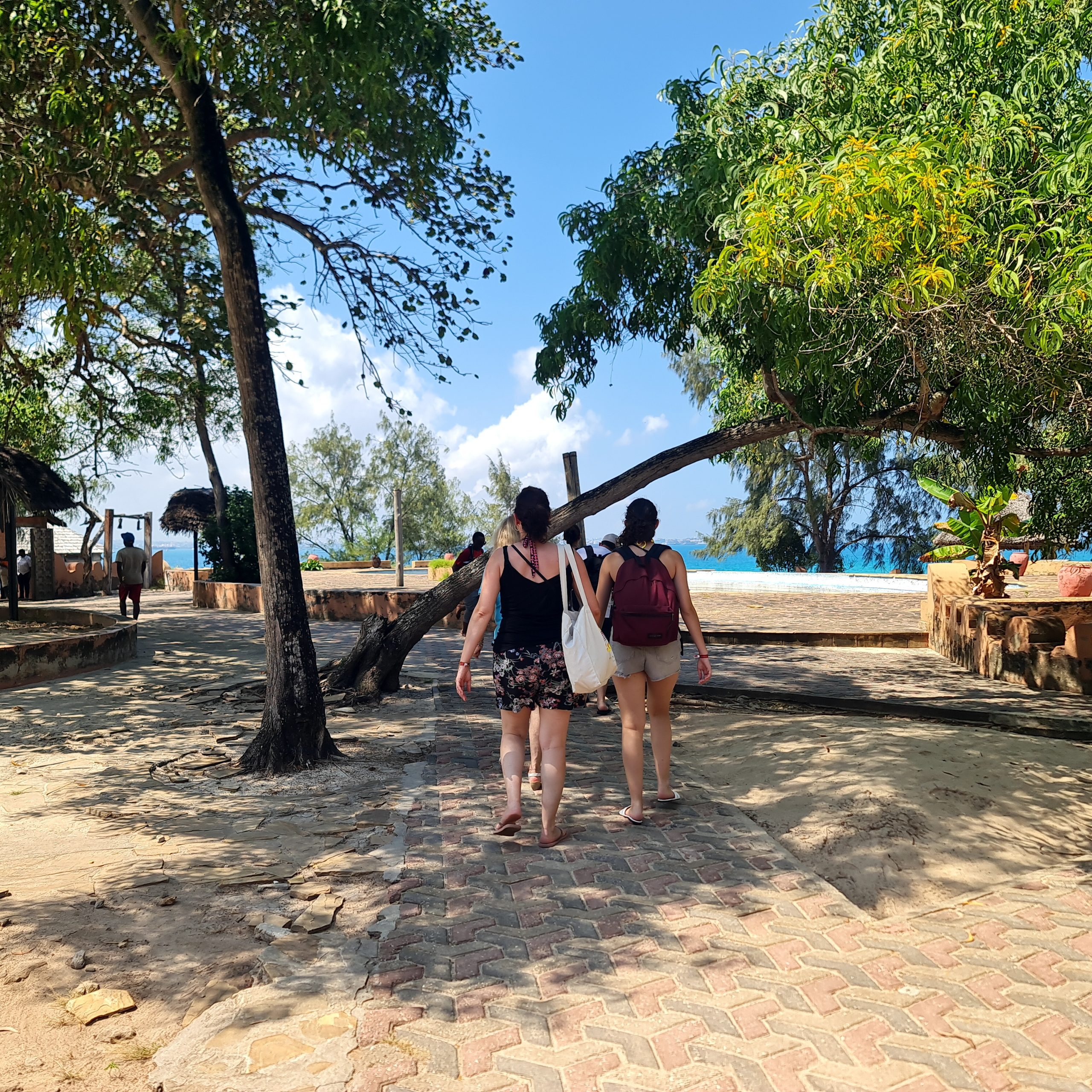Exclusive Prison Island In Zanzibar