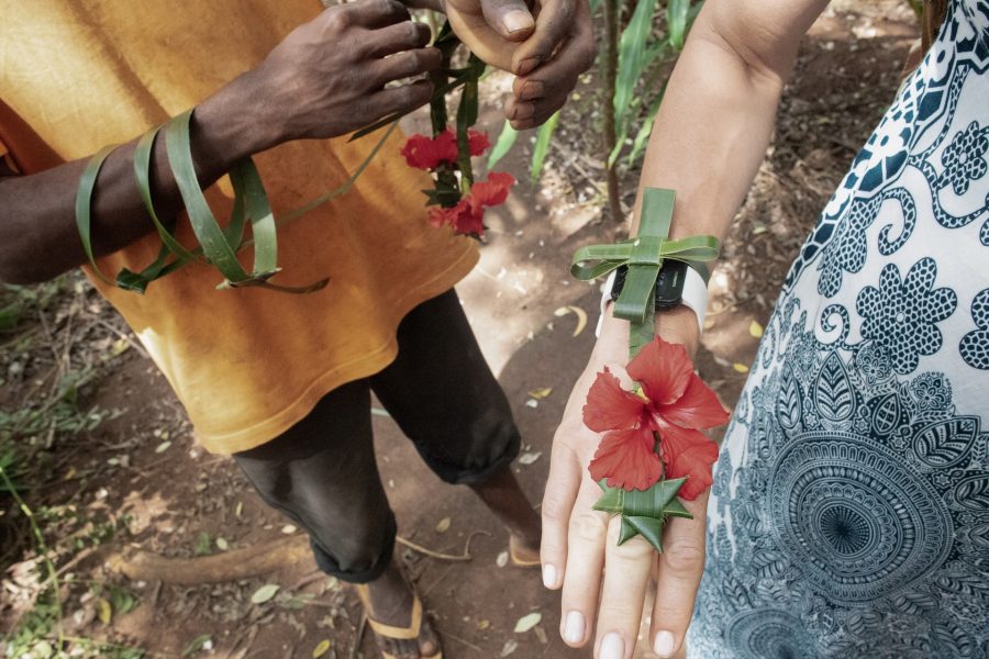 Spice farm tour