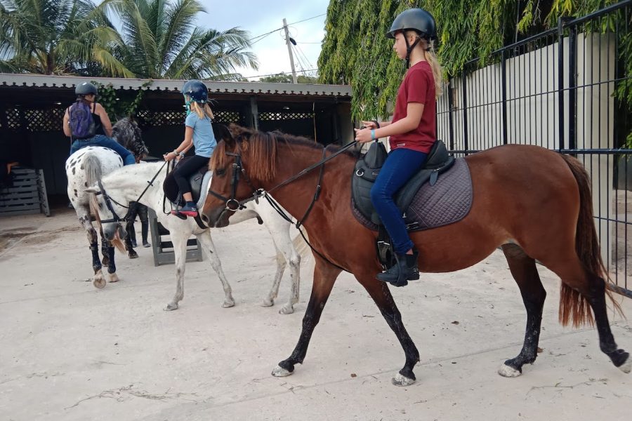 Horse riding