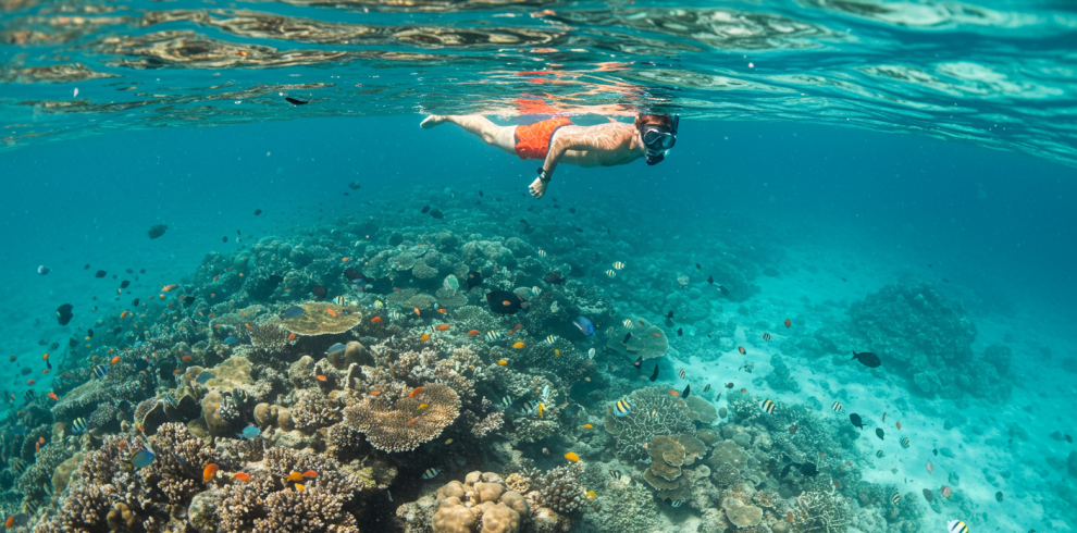 best snorkeling zanzibar