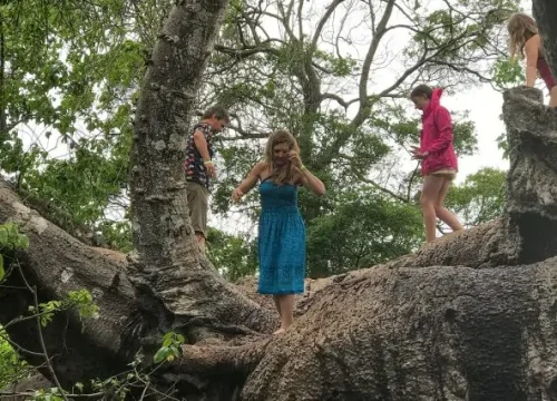 Safari Blue Experience