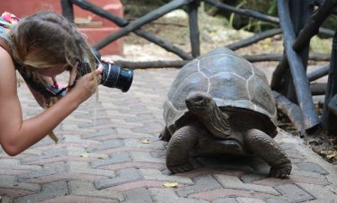Nakupenda-Sandbank-Picnic