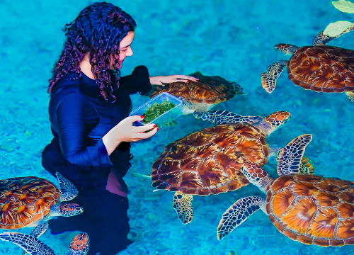 Salaam Cave Experience