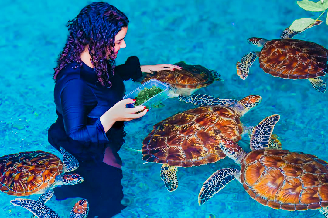 salaam cave zanzibar